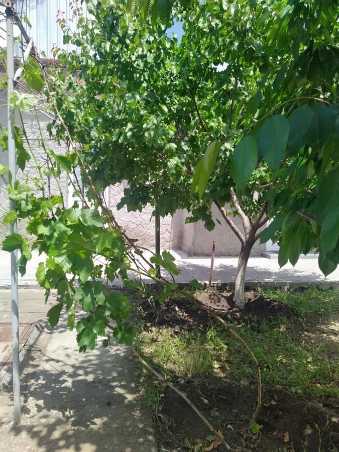 Vanand Guest House Gyumri Exterior foto